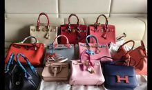 我最心爱的宝贝