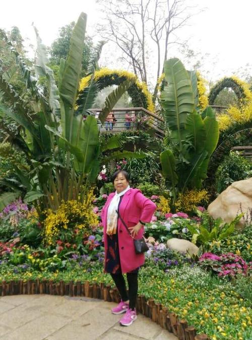 去植物园看花展