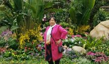 去植物园看花展