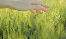 安然的片刻时光