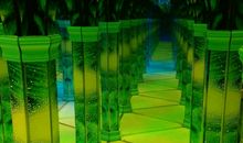 永远抹不掉的记忆