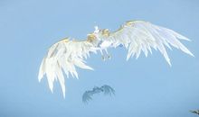 借不到翅膀的飞翔