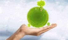 融入生命的绿色