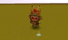 我家的“齐天小圣”