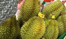 我喜欢的榴莲
