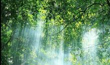 记忆中的那道痕