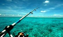 一次难忘的经历