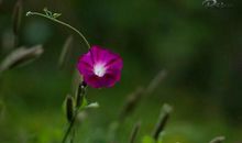 拨动了我心中的弦