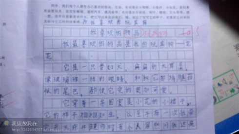 我最喜欢的玩具