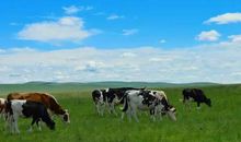 爱在琴声中飘荡