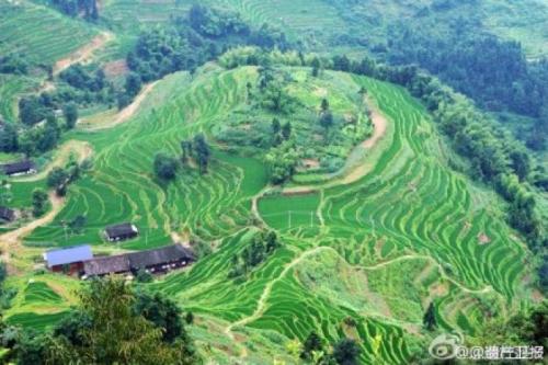 关于东风岩的组成