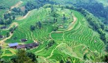 关于东风堰的作文