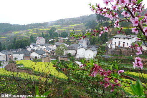 田园春天