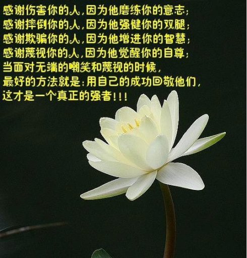 我要感谢你