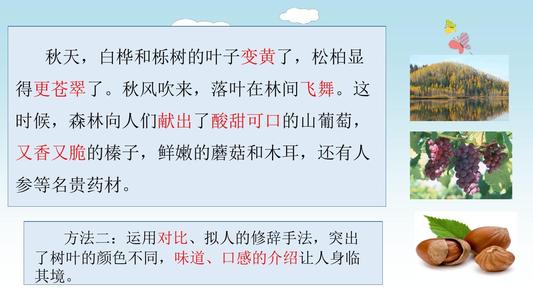 这里好漂亮