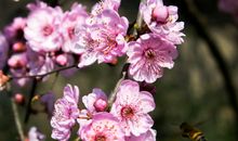 一年之际在于春