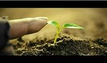 逆境中为自己找一份希望