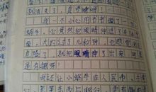 写小动物的作文