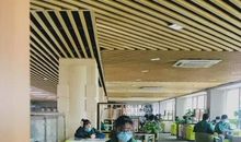 字里行间的声音