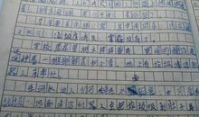 我的家乡茂名作文