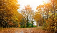 五颜六色的秋天