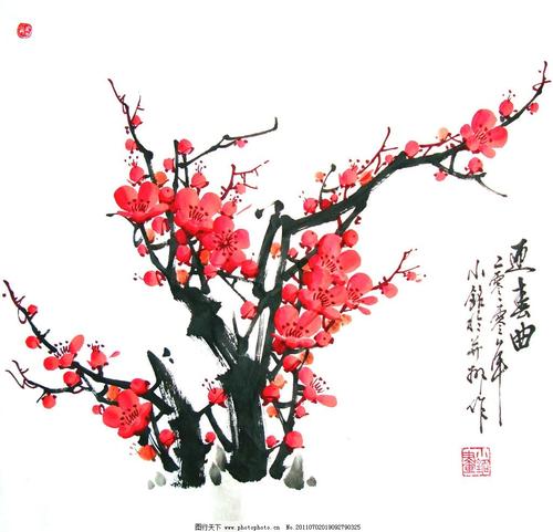 冬季梅花