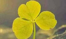 温柔的涟漪牵动了我的情丝