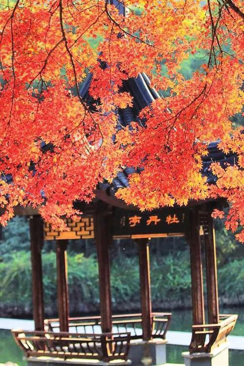 昆山的秋天