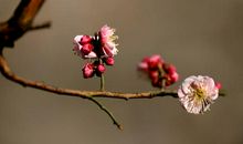 春风徐徐运动时