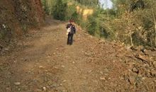 奶奶教我挖春笋