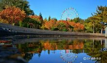 厉害了我的家乡