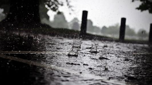 雨小姐