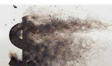 我克服了小狗恐惧症