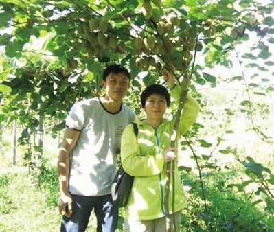 婴儿小鸡家庭设置组成