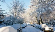 冬日清晨的故事