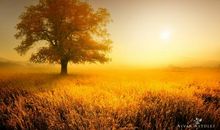 却道天凉好个秋