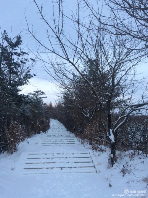 十二月下雪