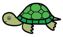 我给乌龟画张像