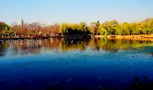 一个留住我美好记忆的地方