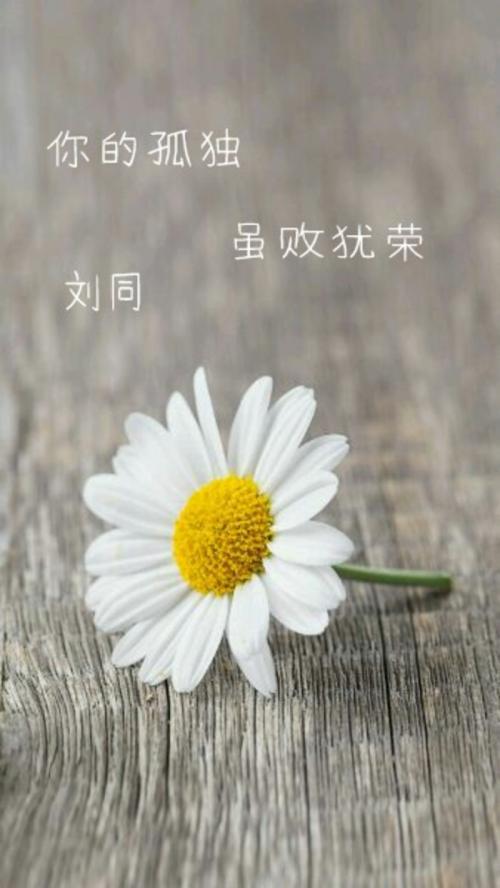 光荣失败