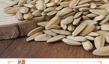 吃瓜子的细节描写