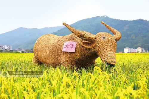 乡愁