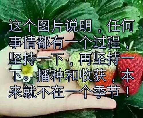 经验是收获