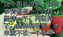 经历是一种收获