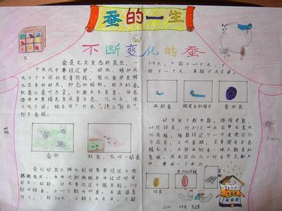 观察蚕的日记