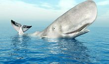 我是一只抹香鲸