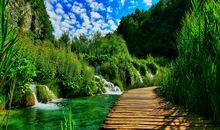 留在心中的最美风景