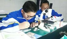 一次有趣的实验课