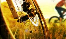 好想说声对不起