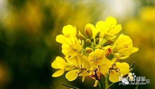 太阳温暖我的心